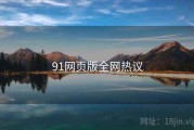 91网页版全网热议