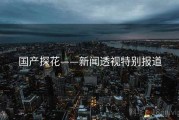 国产探花——新闻透视特别报道