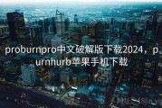 proburnpro中文破解版下载2024，purnhurb苹果手机下载