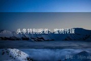 头条特别报道：蜜桃传媒