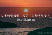 头条特别报道：探花，头条特别报道_探花是真的吗