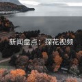 新闻盘点：探花视频