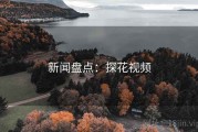 新闻盘点：探花视频
