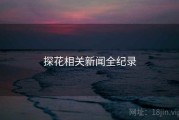探花相关新闻全纪录