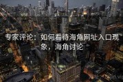 专家评论：如何看待海角网址入口现象，海角讨论