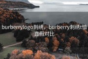 burberrylogo刺绣，burberry刺绣t恤真假对比