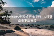 proburnpro中文破解版下载，p站安卓版下载安装