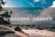 国产探花新闻聚焦，全国最新探花