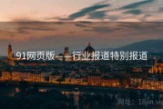 91网页版——行业报道特别报道