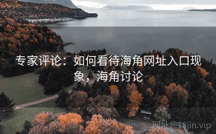 专家评论：如何看待海角网址入口现象，海角讨论