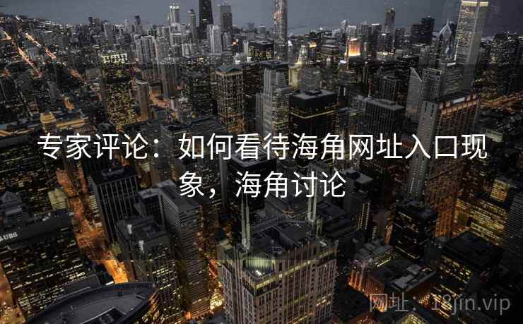 专家评论：如何看待海角网址入口现象，海角讨论