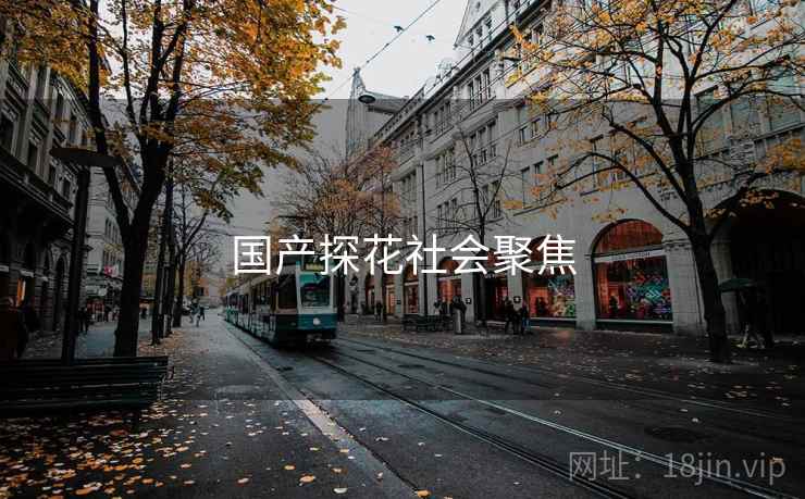国产探花社会聚焦