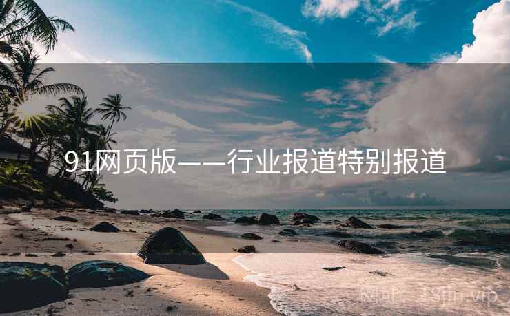 91网页版——行业报道特别报道
