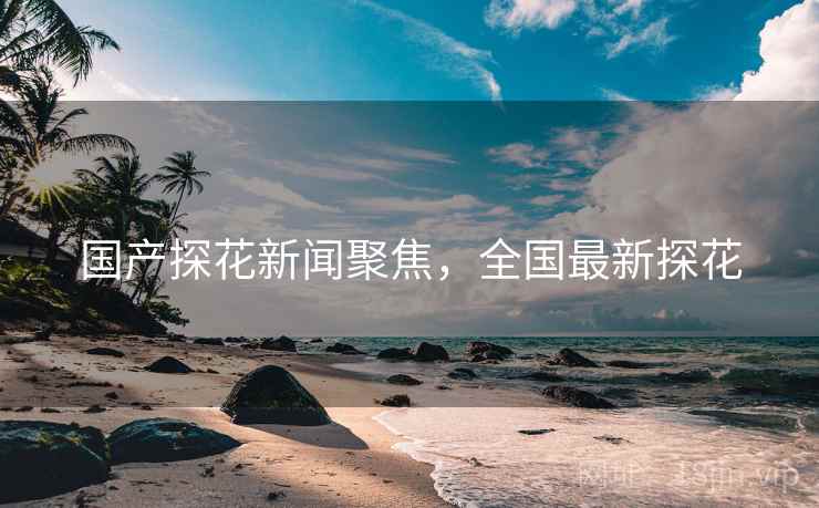 国产探花新闻聚焦，全国最新探花
