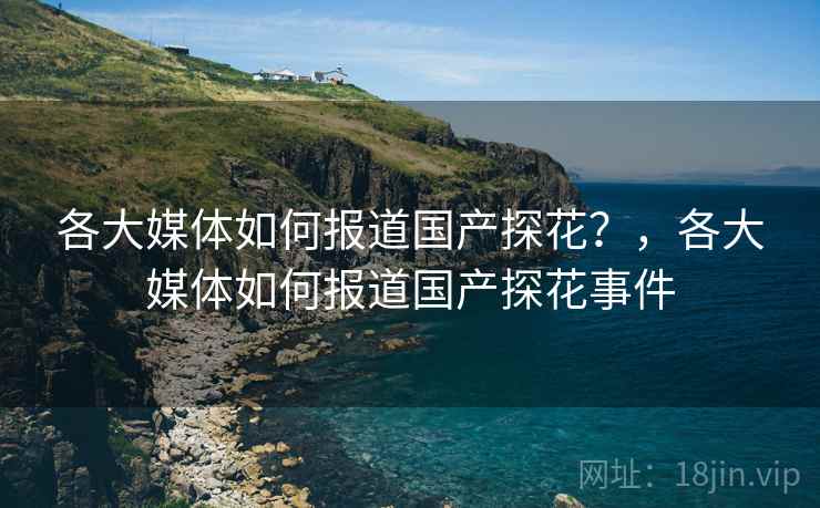 各大媒体如何报道国产探花？，各大媒体如何报道国产探花事件